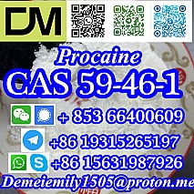 CAS 59-46-1 Procaine China factory supply lower price high purity high quality