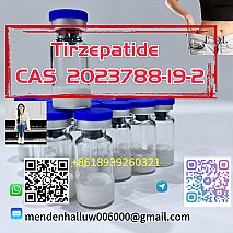 Tirzepatide 2023788-19-2 Reliable Chinese Supplier Tirzepatide 2/5/10/15mg CAS 2023788-19-2 Overseas Warehouse