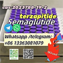 CAS 910463–68–2 Semaglutide Weight Loss White Powder