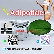 5-amino-1mq 42464-96-0 Hot Selling Cagrilintide CAS 1415456-99-3 Excellent Quality 99% High Purity