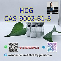 cagrilintide 1415456-99-3 Overseas Warehouse 3 Days Delivery Retatrutide CAS 2381089-83-2 High Purity Weight Loss Peptide