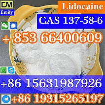 CAS 137-58-6 Lidocaine  purity good quality hot selling safe delivery fast delivery