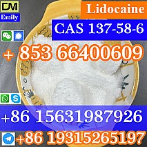 CAS 137-58-6 Lidocaine  purity good quality hot selling safe delivery fast delivery