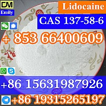 CAS 137-58-6 Lidocaine  purity good quality hot selling safe delivery fast delivery