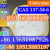 CAS 137-58-6 Lidocaine  purity good quality hot selling safe delivery fast delivery