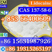 CAS 137-58-6 Lidocaine  purity good quality hot selling safe delivery fast delivery