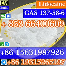 CAS 137-58-6 Lidocaine  purity good quality hot selling safe delivery fast delivery