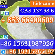 CAS 137-58-6 Lidocaine  purity good quality hot selling safe delivery fast delivery