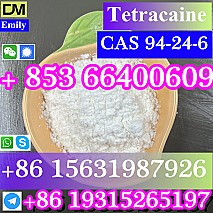 CAS 94-24-6 Tetracaine China factory supply Low price High Purity Best Quality Hot Selling  Low price High Purity