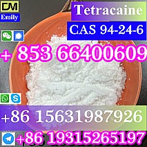 CAS 94-24-6 Tetracaine China factory supply Low price High Purity Best Quality Hot Selling  Low price High Purity