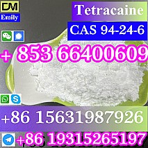 CAS 94-24-6 Tetracaine China factory supply Low price High Purity Best Quality Hot Selling  Low price High Purity