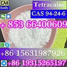 CAS 94-24-6 Tetracaine China factory supply Low price High Purity Best Quality Hot Selling  Low price High Purity