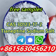 CAS 30123-17-2 Tianeptine Sodium Salt