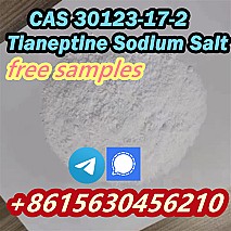 CAS 30123-17-2 Tianeptine Sodium Salt