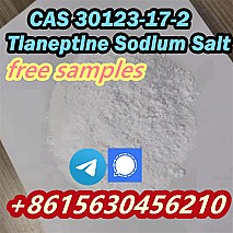 CAS 30123-17-2 Tianeptine Sodium Salt