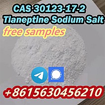 CAS 30123-17-2 Tianeptine Sodium Salt