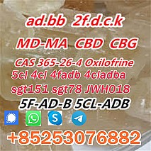 5cladba precursor 5cl raw materials 5cladb 5cladba 4cladb 6cladbb 2f-mdma bmk