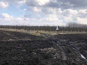 KEMECSÉN 6 DB TERMŐFÖLD ELADÓ