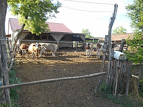 Gazdasági épület, istálló eladó Szabadszálláson!